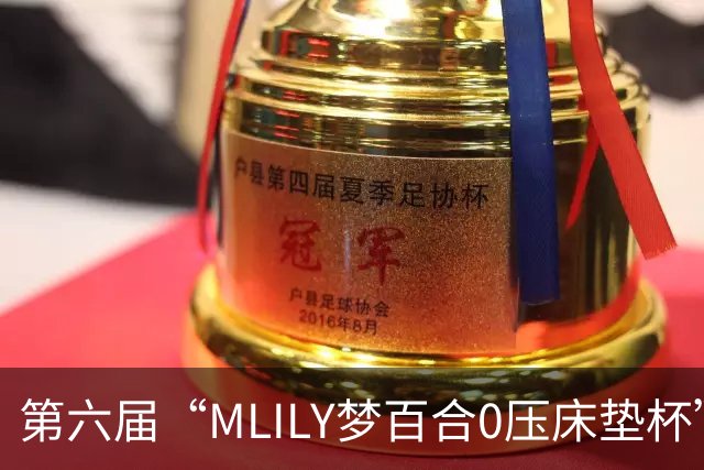 第六届“MLILY梦百合0压床垫杯”综合预选如皋收官